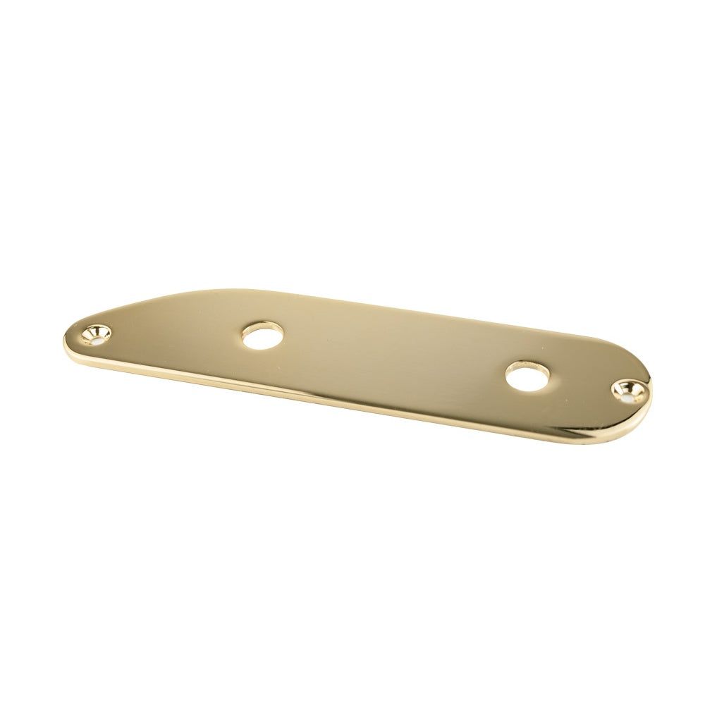 Tele Bass Control Plate