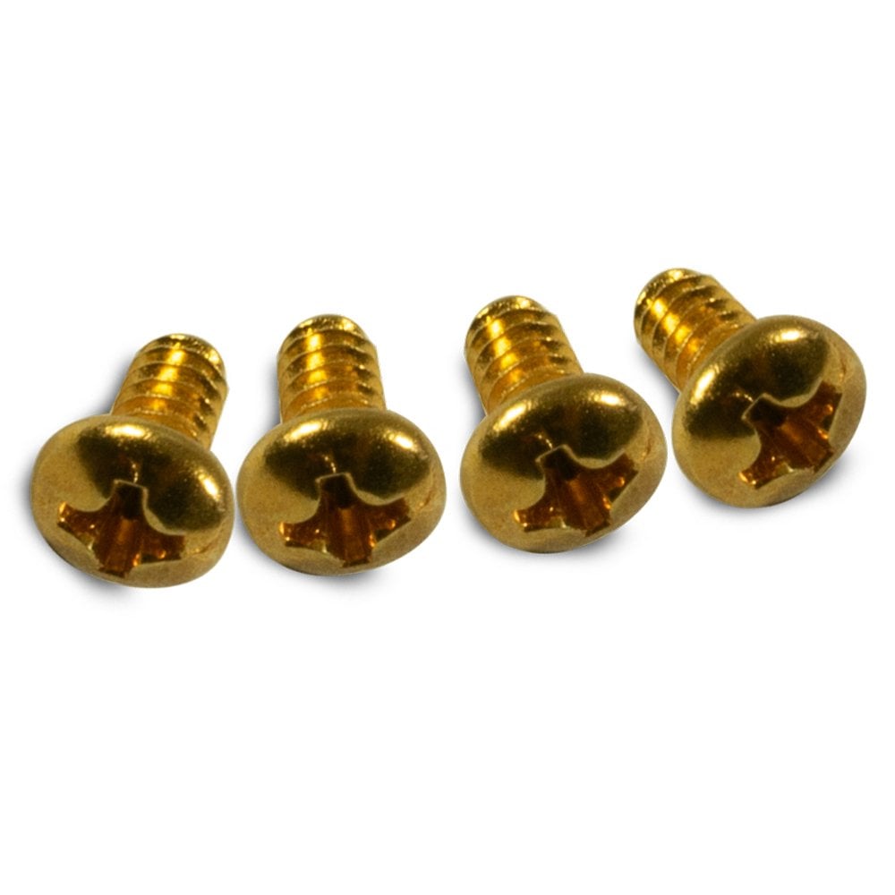 Blade Switch Mounting Screw (4 of)